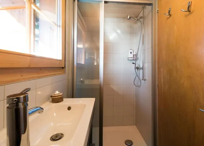 Heidelbeeri By Interhome Casa vacanze Bellwald